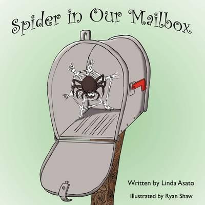 Spider in Our Mailbox