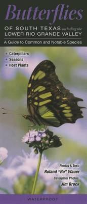 Butterflies of South Texas Including the Lowere Rio Grande Valley: A Guide to Common and Notable Species