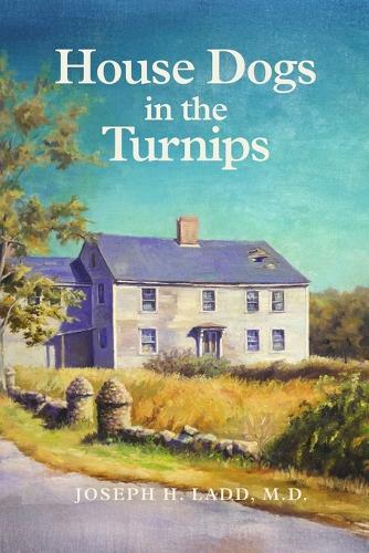 House Dogs in the Turnips