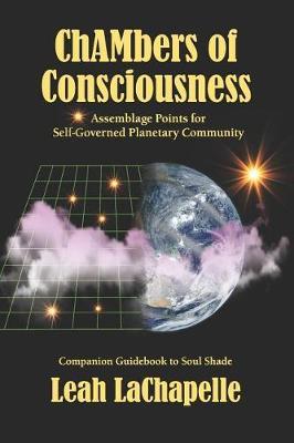 Chambers of Consciousness: Assemblage Points for Self-Governed Planetary Community