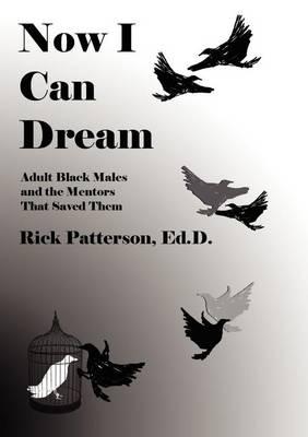 Now I Can Dream: Adult Black Males and the Mentors That Saved Them