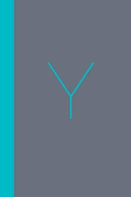 Y, The Workbook: A Practical Companion to Y - Christian Millennial Manifesto