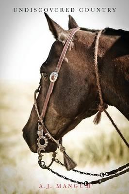 Undiscovered Country