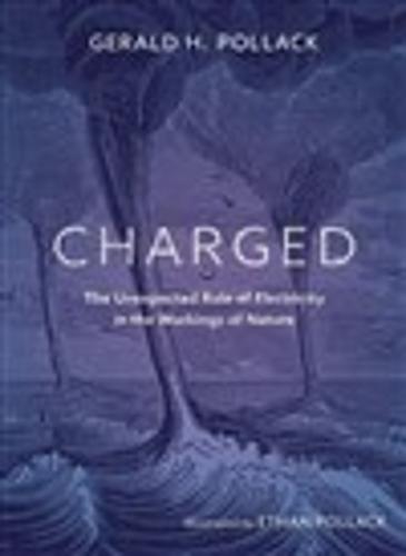 Charged: The Unexpected Role of Electricity in the Workings of Nature