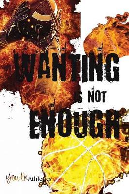 Wanting Is Not Enough: Daily Journal