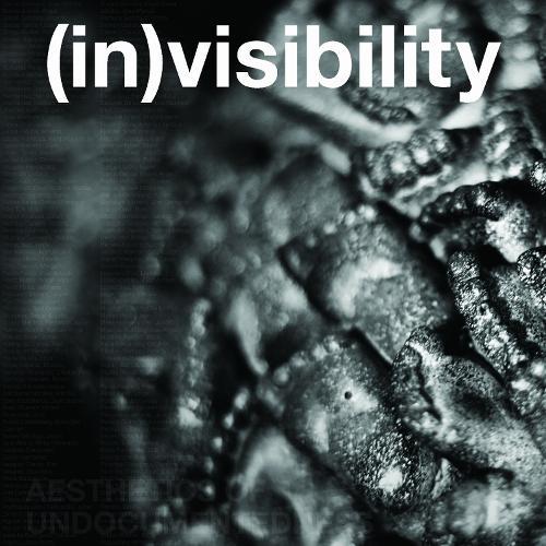 (in)visibility