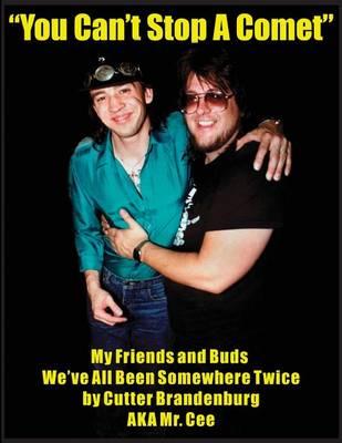 You Can't Stop a Comet: My Friends and Buds, We've All Been Somewhere Twice