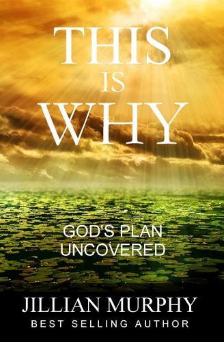 This is WHY: God's Plan Uncovered