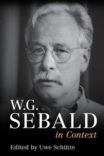 W. G. Sebald in Context