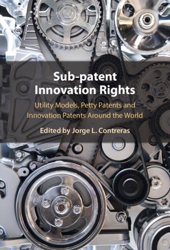 Sub-patent Innovation Rights: Utility Models, Petty Patents and Innovation Patents Around the World