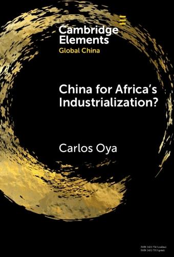 China for Africa's Industrialization?