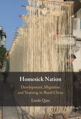 Homesick Nation: Development, Migration and Yearning in Rural China