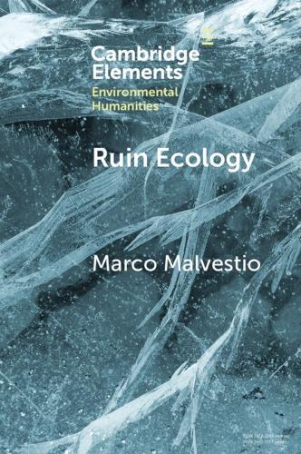 Ruin Ecology: An Exercise in Environmental Imagination