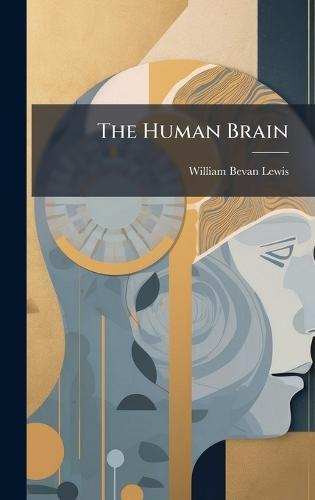 The Human Brain