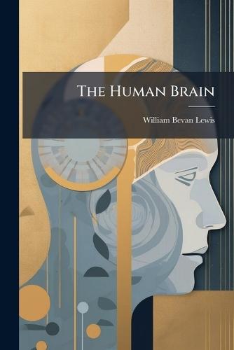 The Human Brain