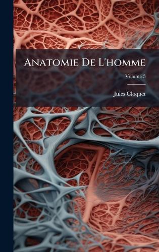 Anatomie De L'homme