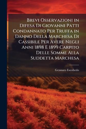Brevi Osservazioni in Difesa Di Giovanni Patti Condannato Per Truffa in Danno Della Marchesa Di Cassibile Per Avere Negli Anni 1898 E 1899 Carpito Delle Somme Alla Suddetta Marchesa