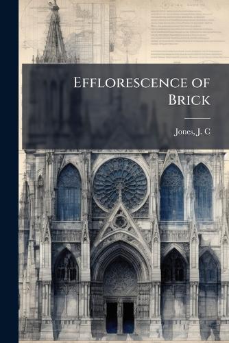 Efflorescence of Brick
