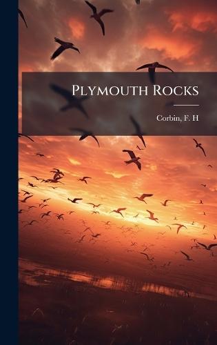 Plymouth Rocks