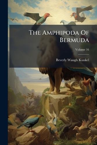 The Amphipoda Of Bermuda