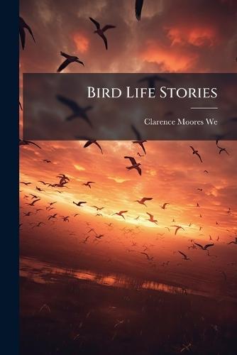 Bird Life Stories