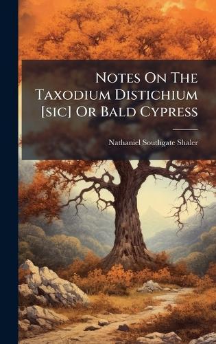 Notes On The Taxodium Distichium [sic] Or Bald Cypress