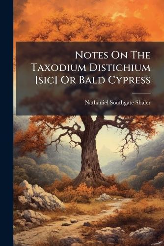 Notes On The Taxodium Distichium [sic] Or Bald Cypress