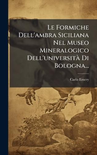 Le Formiche Dell'ambra Siciliana Nel Museo Mineralogico Dell'universitÃ Di Bologna...