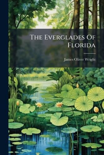 The Everglades Of Florida
