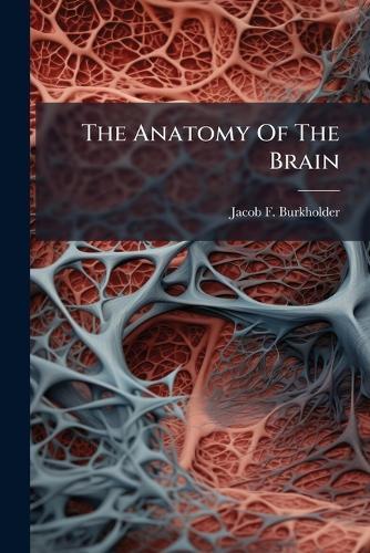 The Anatomy Of The Brain