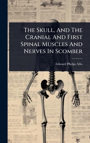 The Skull, And The Cranial And First Spinal Muscles And Nerves In Scomber