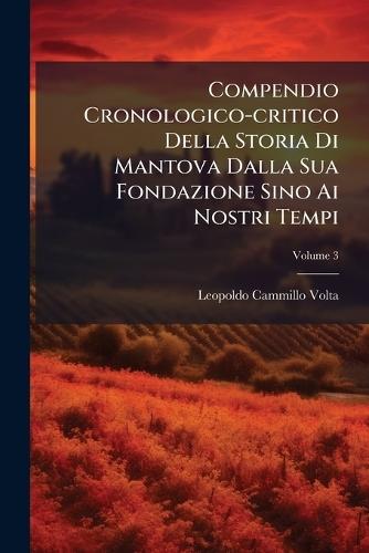 Compendio Cronologico-critico Della Storia Di Mantova Dalla Sua Fondazione Sino Ai Nostri Tempi