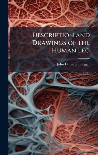 Description and Drawings of the Human Leg