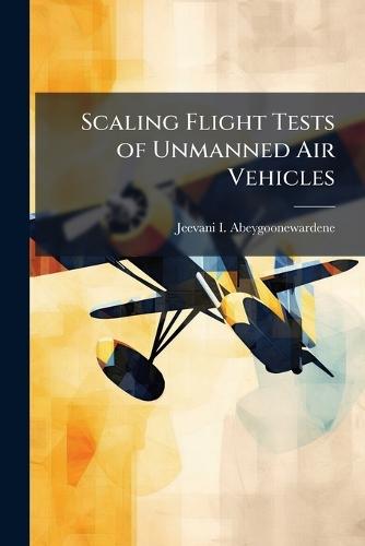 Scaling Flight Tests of Unmanned Air Vehicles