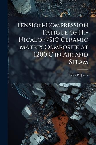 Tension-Compression Fatigue of Hi-Nicalon/SiC Ceramic Matrix Composite at 1200 C in Air and Steam