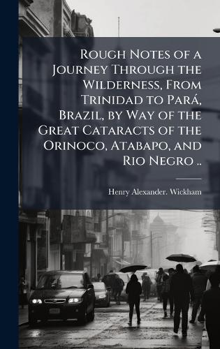 Rough Notes of a Journey Through the Wilderness, From Trinidad to ParaÌ, Brazil, by Way of the Great Cataracts of the Orinoco, Atabapo, and Rio Negro ..