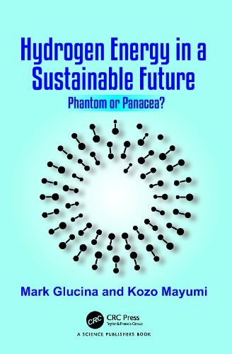 Hydrogen Energy in a Sustainable Future: Phantom or Panacea?