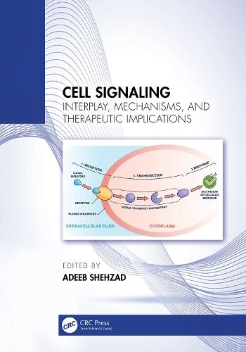 Cell Signaling: Interplay, Mechanisms, and Therapeutic Implications