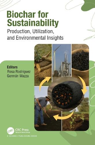 Biochar for Sustainability: Production, Utilization, and Environmental Insights