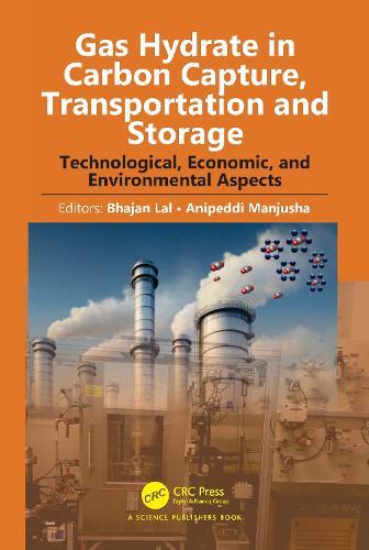 Gas Hydrate in Carbon Capture, Transportation and Storage: Technological, Economic, and Environmental Aspects