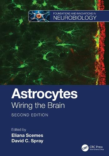 Astrocytes: Wiring the Brain