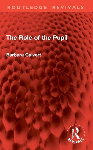 The Role of the Pupil