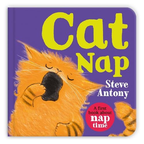 Cat Nap: A First Book About Naptime