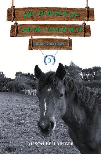 The Horses of Saddlers Ranch: Black Knight: Book Three