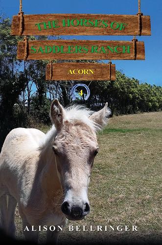 The Horses of Saddlers Ranch: Acorn: Book Four