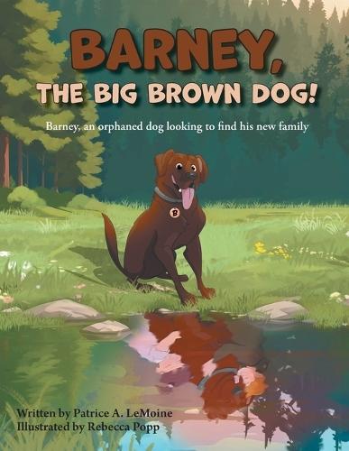 Barney, The Big Brown Dog!: Barney, an orphaned dog looking to find his new family
