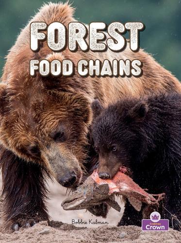 Forest Food Chains