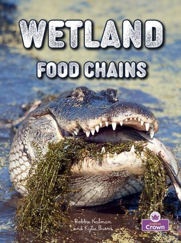 Wetland Food Chains