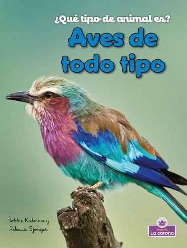 Aves de Todo Tipo (Birds of All Kinds)