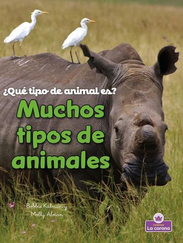 Muchos Tipos de Animales (Many Kinds of Animals)